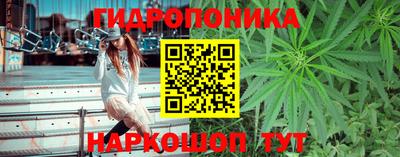 ECSTASY Краснознаменск