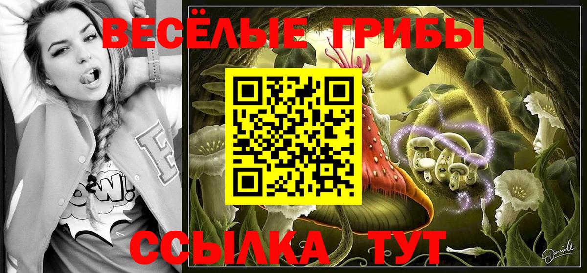 Галлюциногенные грибы ЛСД Гурьевск